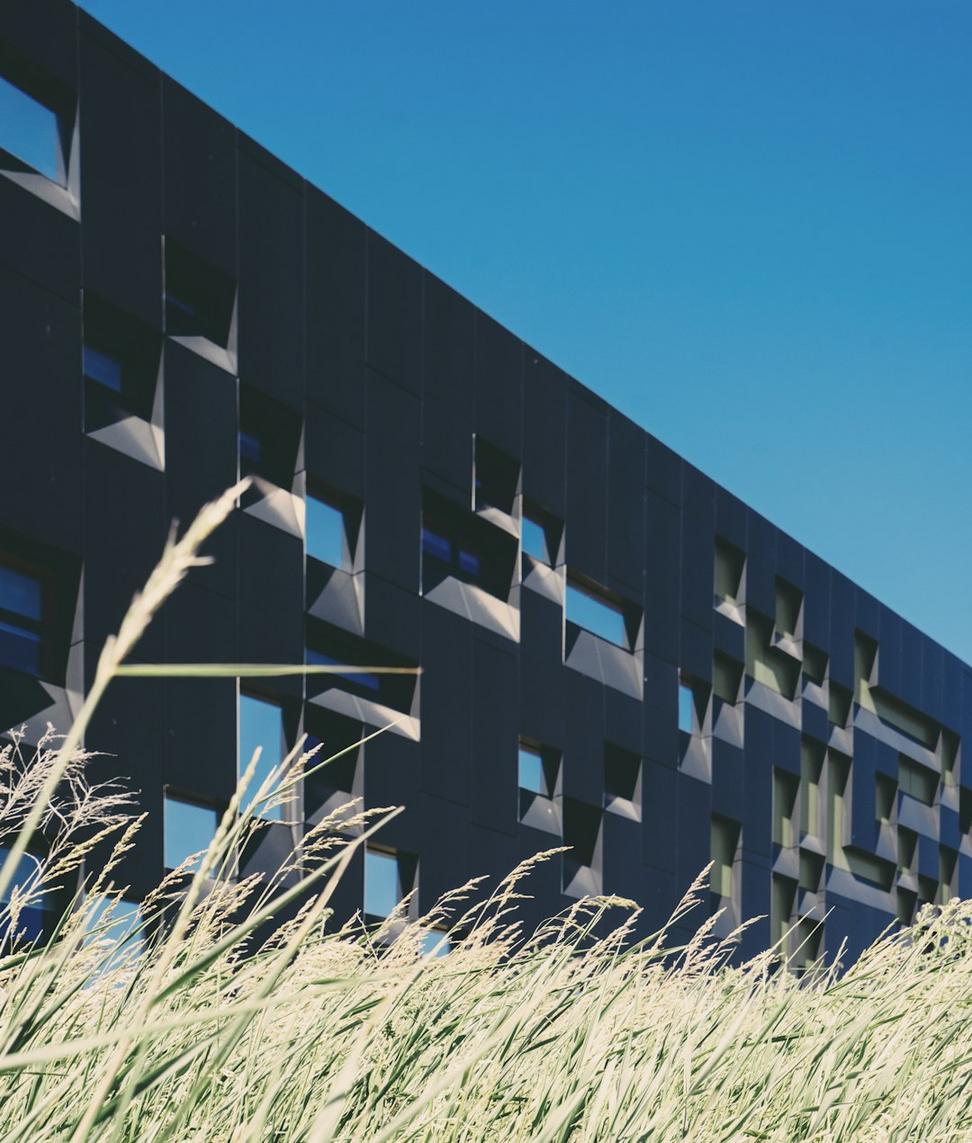 Green roof design